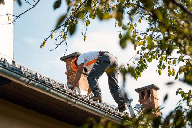 Best Roof Gutter Cleaning  in Oklahoma, PA